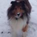 Profile Picture of Shelly McBride (@shelly.mcbride.39) on Facebook