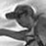 Profile Picture of Chiu Cheng-Tzu (@maggiesmart) on Flickr