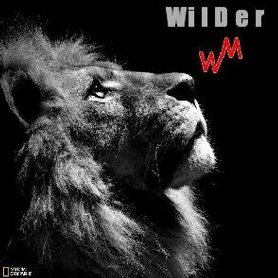 Profile Picture of Walid Mohammad (@walidmohammad2) on Twitter