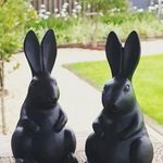 Profile Picture of Joanne Reid (@two_rabbit_hill) on Instagram