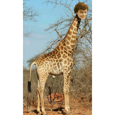 Profile Picture of Sam Cavey (@cavey_sam) on Twitter