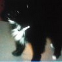 Profile Picture of Haley Winburn (@haley-winburn) on Quora