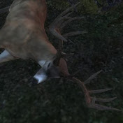 Michael Hoctor - Youtube Profile Picture of Michael Hoctor (@rollingthund3r06) on Youtube