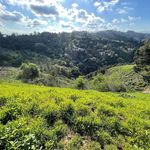 David Haselkorn - Instagram Profile Picture of David Haselkorn (@beansweeny) on Instagram