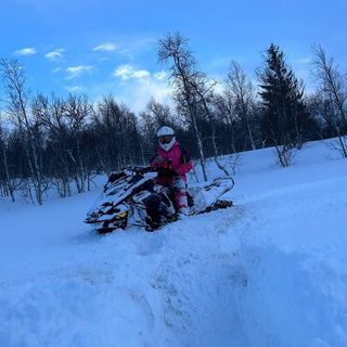 Profile Picture of Tilde Lindberg (@tildelindbergg) on Instagram