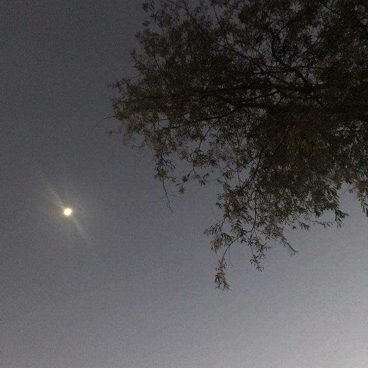 Profile Picture of Nicholas (@sixityspring._) on Tiktok