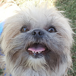 Profile Picture of Paula Valenzuela (@paula.valenzuela.naranjo) on Flickr