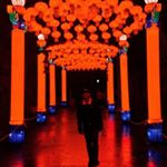 Profile Picture of James Hollon (@sodapopjet) on Instagram