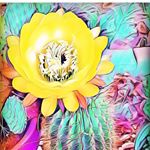 Profile Picture of Randy Childress (@weareguars) on Instagram