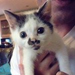 Profile Picture of David Murtagh (@murtaghdavid) on Instagram