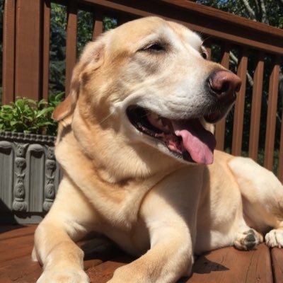 Profile Picture of Michael A Hargis (@mikehargis1959) on Twitter
