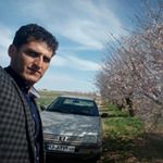 maged shaker - Instagram Profile Picture of maged shaker (@shakermaged04) on Instagram