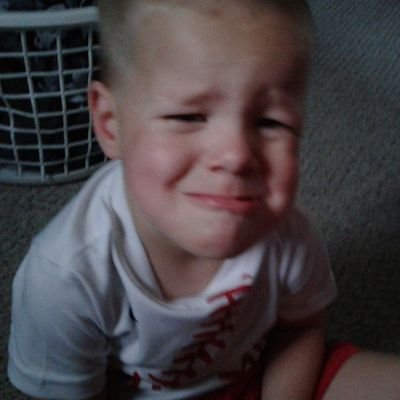 Profile Picture of Brian Steadman (@bdsteadman) on Twitter