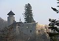 Profile Picture of Birseck Castleon Wikipedia