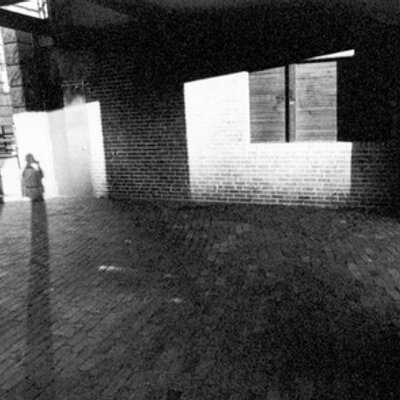 Profile Picture of Carrie Foster (@Anseis) on Twitter