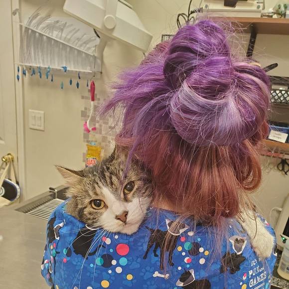 Profile Picture of Robin Arnott (@robinarnott) on Poshmark