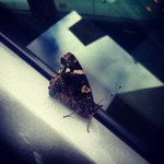 Profile Picture of Michael Dowling (@nycvintageinlove) on Instagram