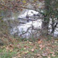 Profile Picture of Phyllis Ruth (@phyllis-ruth-1) on Quora