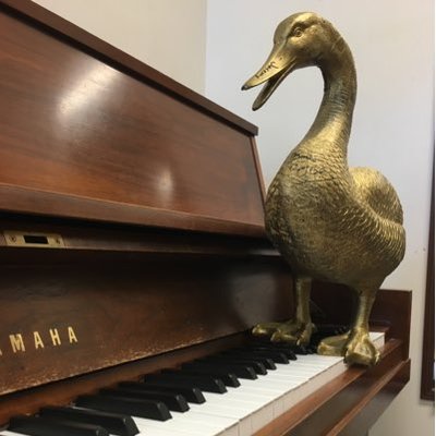 Profile Picture of Steve The Duck (@orangehausduck) on Twitter