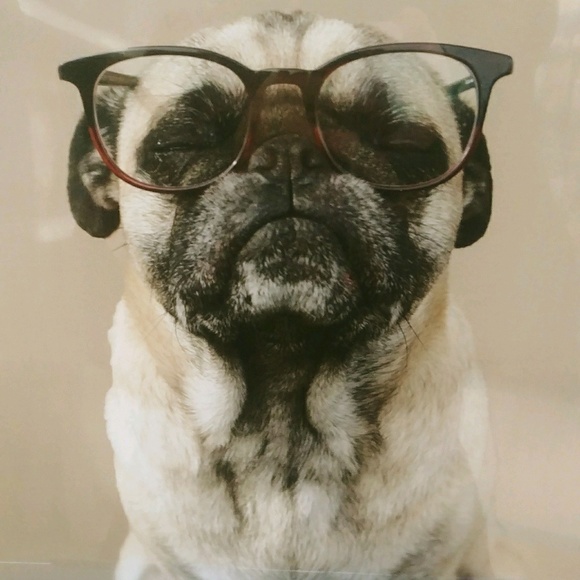 Profile Picture of Lisa Bryce (@lisaabryce) on Poshmark