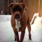 Profile Picture of Noah Slaunwhite (@noah_slaunwhite69) on Instagram