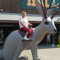 Profile Picture of Lori Dowler-tope (@lori-dowler-tope) on Quora