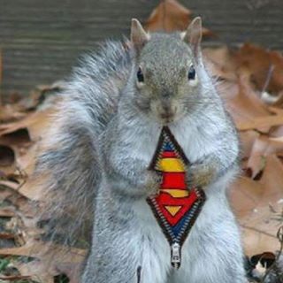 Profile Picture of Jo Takeda (@jo.takeda.77) on Facebook