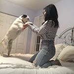 Profile Picture of Katie Krause (@katiek1315) on Instagram