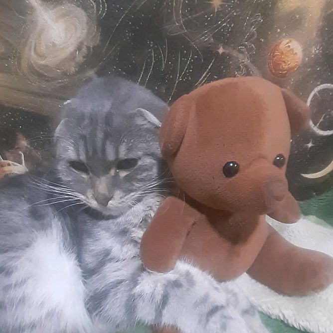 Profile Picture of Margo (@margomarkina) on Tiktok