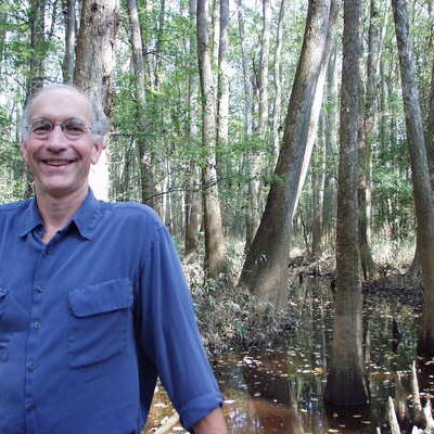 Profile Picture of Mark Gorman (@gormanme) on Twitter