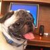Profile Picture of Zack Jesse (@zack.jesse.7) on Facebook