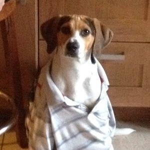 Profile Picture of Anthony Eccleson Twitter