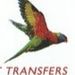 Profile Picture of Ray Tyndall (@tyndall28) on Pinterest