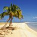 Profile Picture of Jeffrey Hubbert (@jeffreyhubbert) on Pinterest