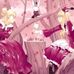 Profile Picture of Carroll Eckart (@carroll.eckart.9) on Facebook