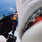 Profile Picture of David Thomas Martinez (@welcometodavidsworld) on Instagram