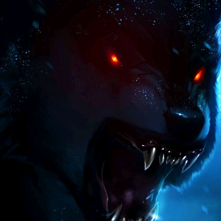 Profile Picture of Julian_shreds_mtb (@eugene_miners140) on Tiktok