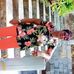 Profile Picture of Eileen Phillips (@eileen.phillips.5059) on Facebook