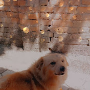 Profile Picture of Deepa Gurung (@deepagurung3551) on Youtube