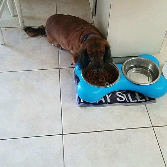 Erica Marshall - Poshmark Profile Picture of Erica Marshall (@marshallerica1) on Poshmark