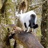 Profile Picture of Sue Edwards (@suenaturegallery) on Flickr