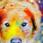 Profile Picture of jennakimball (@kimballjenna39963) on Instagram