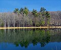 Profile Picture of Varden Conservation Areaon Wikipedia