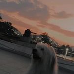 Profile Picture of Aimee Serrano (@aimeeserrano) on Instagram