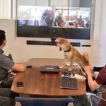 Nick Rivers - Instagram Profile Picture of Nick Rivers (@nickrivers513) on Instagram