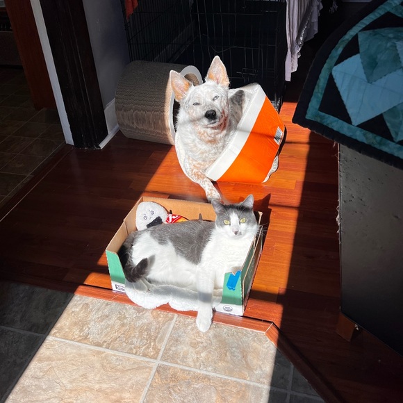 Profile Picture of Nalia Apilando (@apilando_keeper) on Poshmark