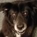 Profile Picture of Janet Rector Tennison (@janet.tennison) on Facebook