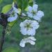 Profile Picture of Heather Shoemaker (@hethnicshoe) on Pinterest