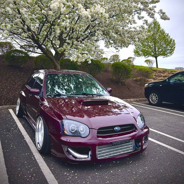 Profile Picture of Joshua Green (@joshuagreen21) on Tiktok