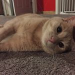Profile Picture of Clark Amend-Marshall (@clark_am69) on Instagram